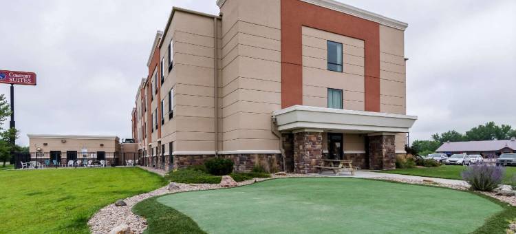 舒适套房酒店(Comfort Suites Gothenburg)图片