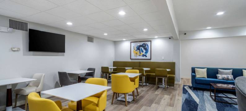 凯富套房酒店(Comfort Inn & Suites)图片