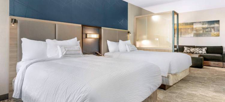 夏洛特西南万豪SpringHill Suites酒店(SpringHill Suites Charlotte Southwest)图片