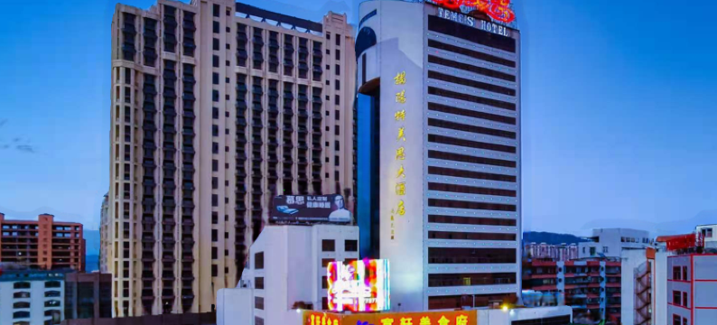 揭阳特美思酒店图片