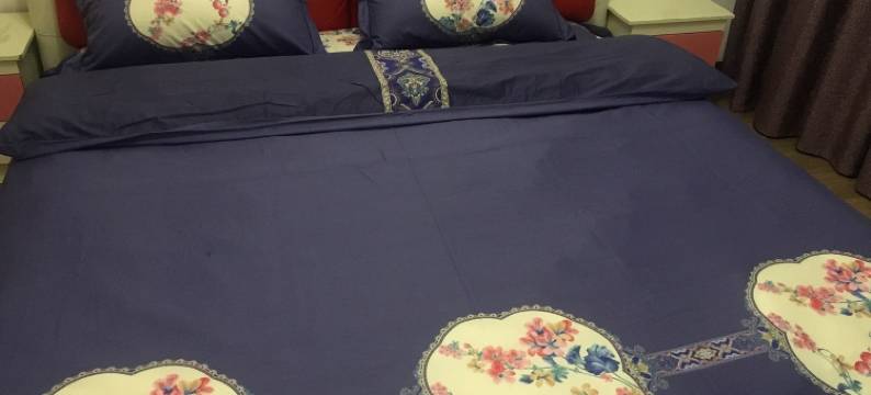 凤凰艺缘居公寓图片