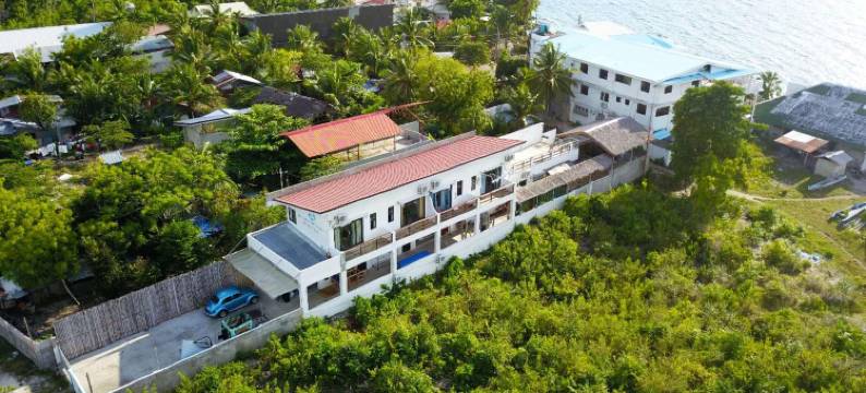 熊猫叔叔潜水旅馆(Uncle Panda Diving & Lounge)图片