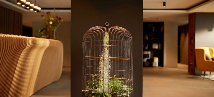 阿姆斯特丹冯德尔丽亭酒店(Park Plaza Vondelpark Amsterdam)图片