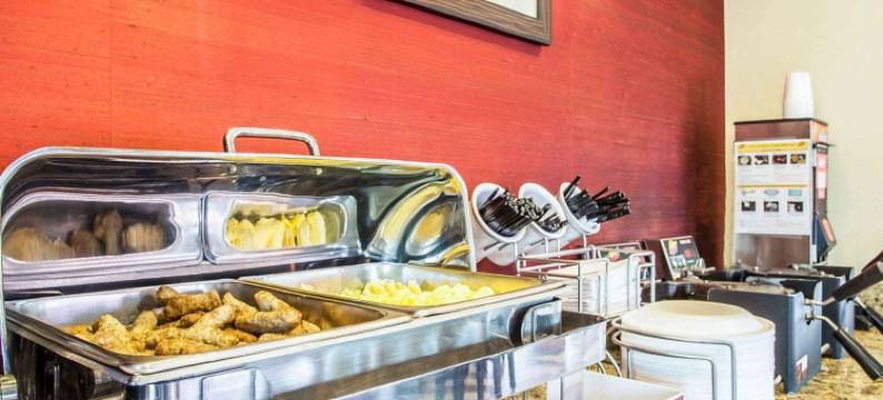 岩石丘曼彻斯特梅多斯区舒适套房酒店(Comfort Suites Rock Hill Manchester Meadows Area)图片