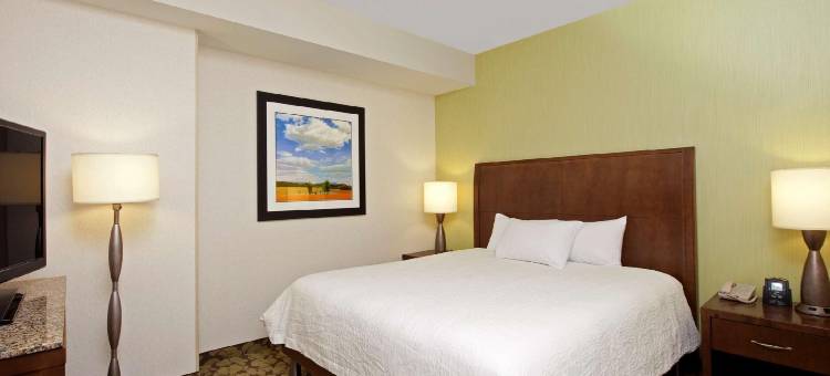 印第安纳波利斯希尔顿花园酒店(Hilton Garden Inn Indianapolis Downtown)图片