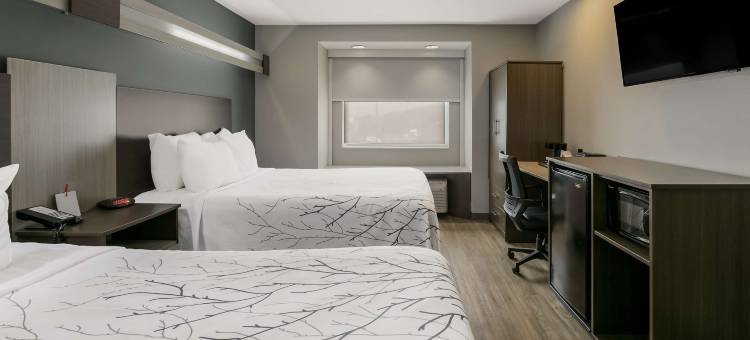 SureStay Plus Hotel by Best Western Sevierville图片