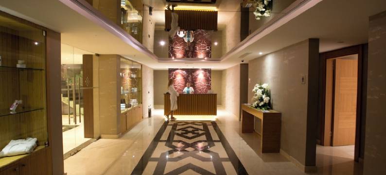 伊斯坦布尔亚洲机场奇迹水疗酒店(Miracle Istanbul Asia Airport Hotel & Spa)图片