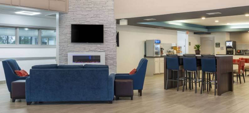 舒适套房酒店(Comfort Suites)图片