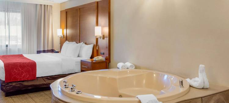 橡树溪阳台近橡树溪中心舒适全套房酒店(Comfort Suites Oakbrook Terrace Near Oakbrook Center)图片