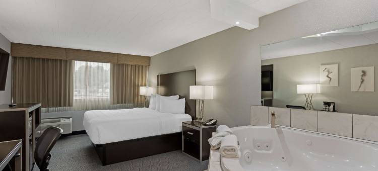 雷丁贝斯特韦斯特优质套房酒店(Best Western Plus Reading Inn  Suites)图片