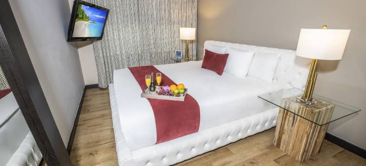 南海滩大都会酒店(Metropole Suites South Beach)图片