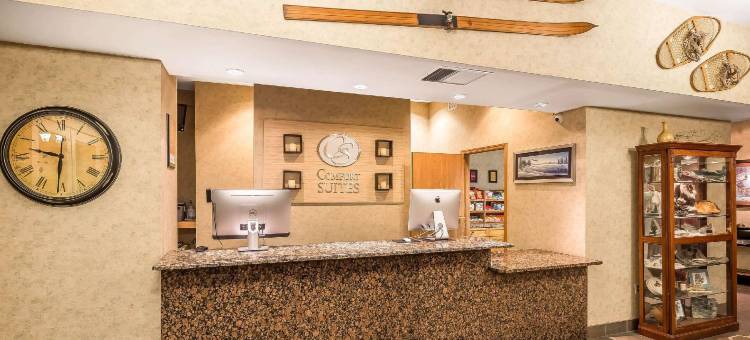 舒适套房酒店-安克雷奇国际机场(Comfort Suites Anchorage International Airport)图片