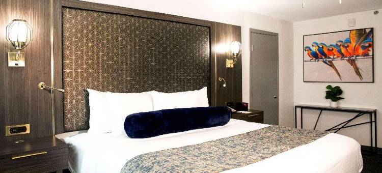 迈克艾伦机场丽笙酒店(Radisson Hotel McAllen Airport)图片