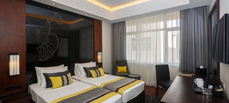 雷努卡城市酒店(Renuka City Hotel)图片