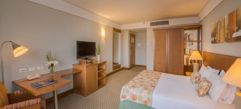 蓝树塔南卡希亚斯酒店(Blue Tree Towers Caxias do Sul)图片