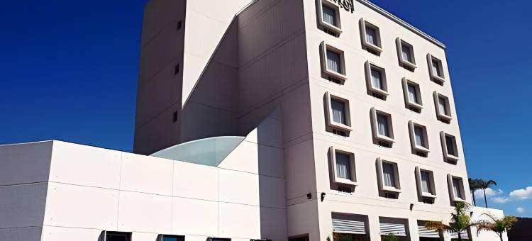 莫雷利亚图罗特尔酒店(Hotel Turotel Morelia)图片