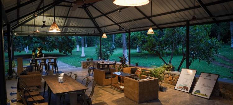 马吉非拉旅馆(The Mangifera)图片