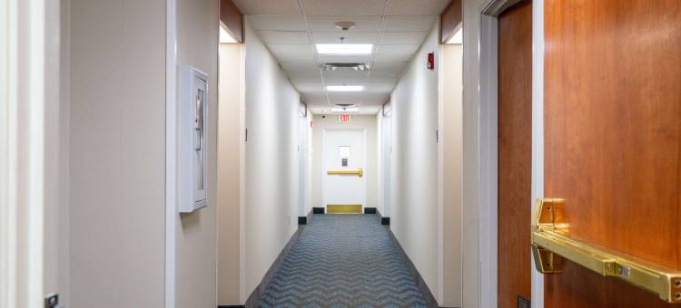 安眠酒店(Sleep Inn Murfreesboro)图片