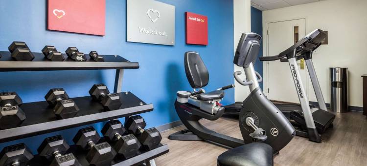 舒适套房酒店-大学(Comfort Suites at the University)图片