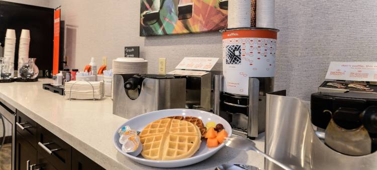 艾伦公园欢朋套房酒店(Hampton Inn & Suites Detroit/Allen Park)图片