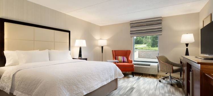 伯明翰-东艾恩戴尔欢朋套房酒店(Hampton Inn & Suites Birmingham East Irondale)图片