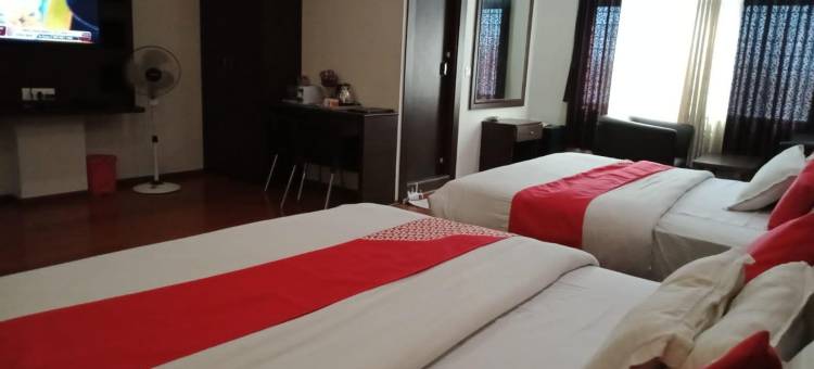 萨曼维国际酒店(Hotel Samanvi International)图片