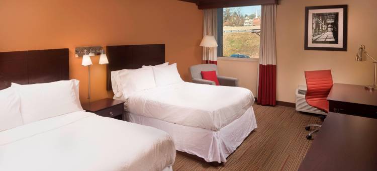 阿什维尔市中心福朋喜来登酒店(Four Points by Sheraton Asheville Downtown)图片