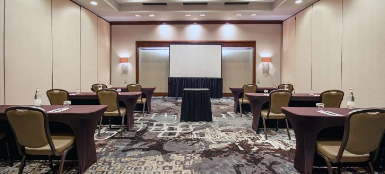 休斯顿市中心希尔顿安泊酒店(Embassy Suites by Hilton Houston Downtown)图片