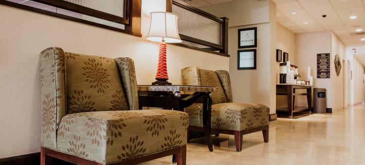 希尔顿欢朋酒店托雷翁机场画廊(Hampton Inn by Hilton Torreon-Airport Galerias)图片