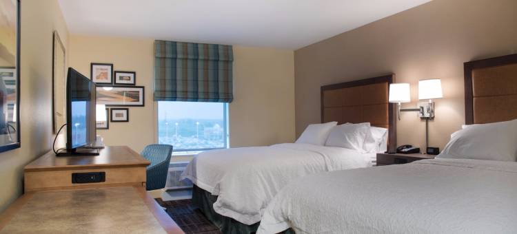 大瀑布城欢朋酒店(Hampton Inn Big Rapids)图片