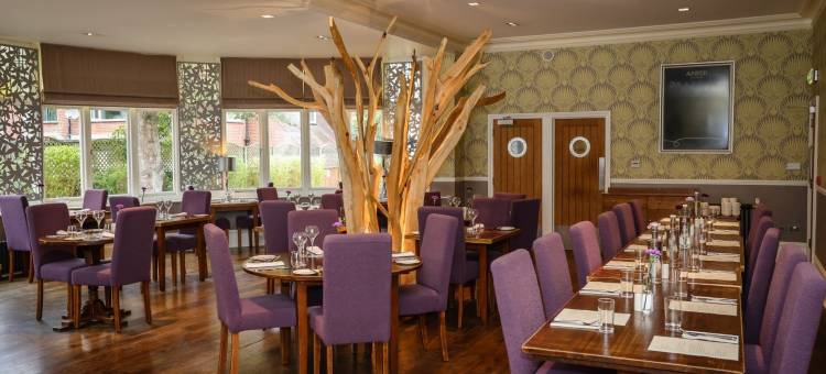 温室酒店(The Green House)图片