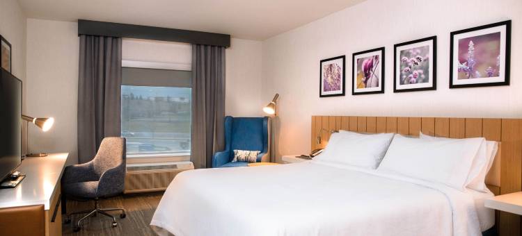 希尔顿花园酒店萨德伯里(Hilton Garden Inn Sudbury)图片