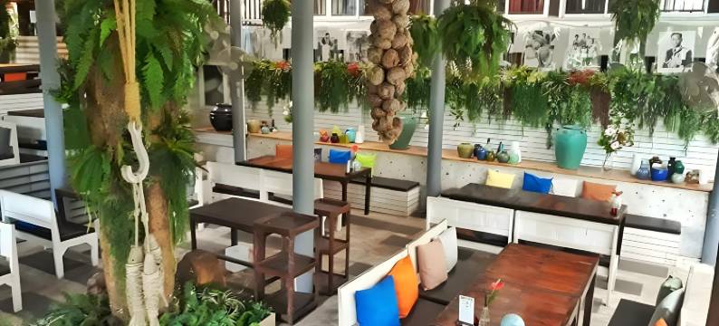 热带雨林度假村(Rain Forest Resort)图片