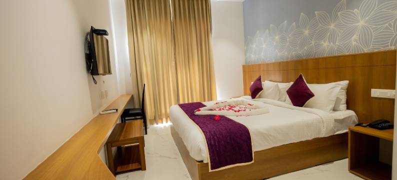 瓦尔达酒店(Hotel Vardha Inn)图片