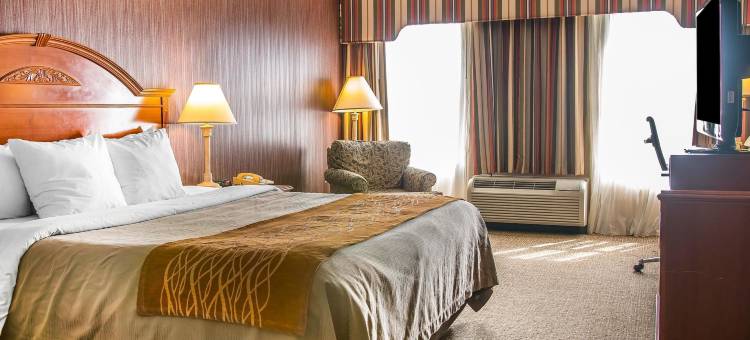 切尔西舒适酒店(Comfort Inn)图片