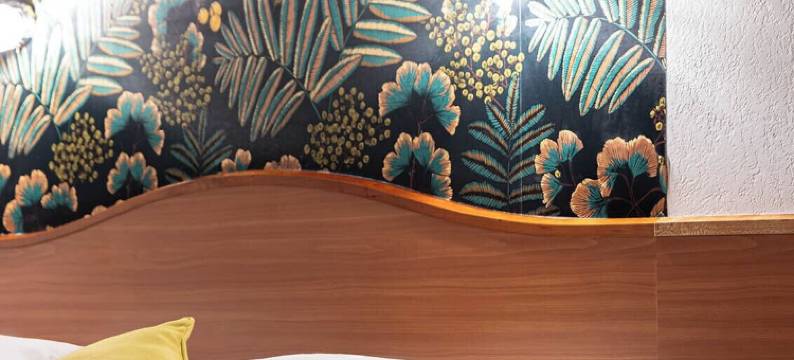 德尔图尔勒普恩维利吉利亚德直营酒店(Deltour Hotel le Puy En Velay)图片