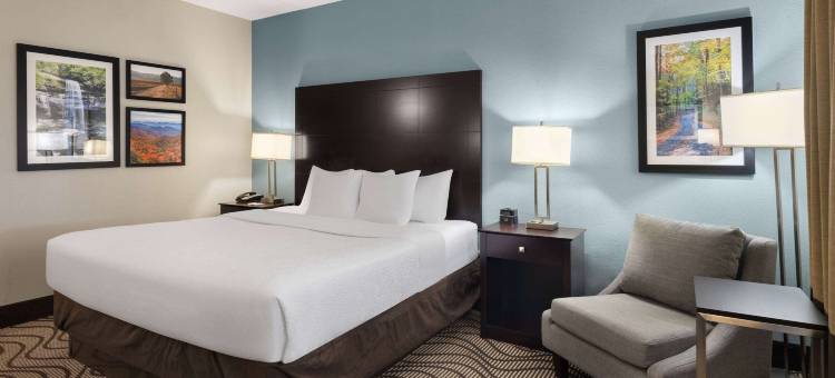 诺克斯维尔机场拉昆塔温德姆套房酒店(La Quinta Inn & Suites by Wyndham Knoxville Airport)图片