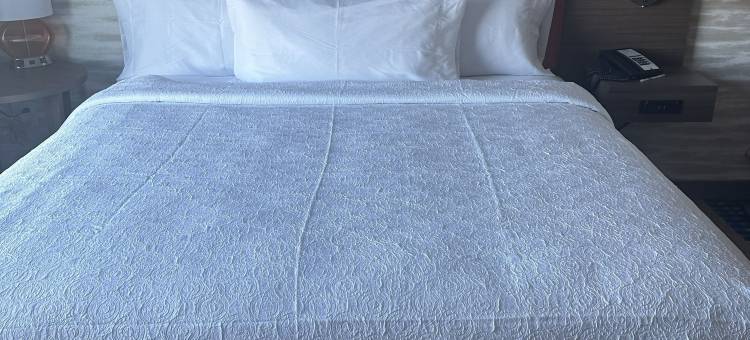 希尔顿拉辛家庭套房酒店(Home2 Suites by Hilton Racine)图片