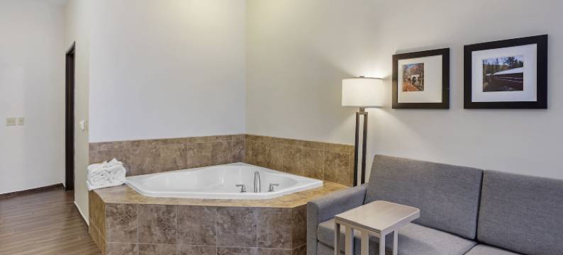 塞尔舒适套房酒店(Comfort Inn & Suites Sayre)图片