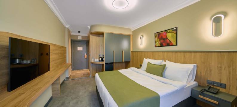 Dedeman卡拉布克休息酒店(Rest by Dedeman Karabük)图片