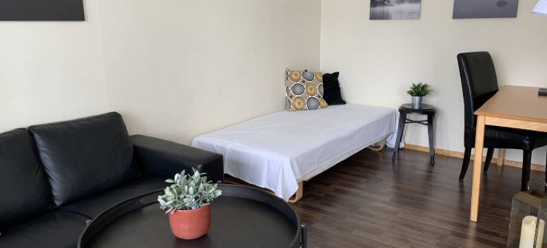 Trudvang公寓酒店(Trudvang Apartment Hotel)图片