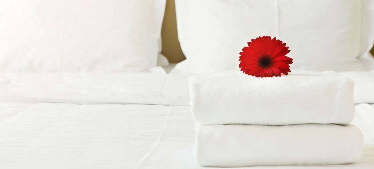 柴尔德里斯美国套房酒店(American Inn & Suites Childress)图片