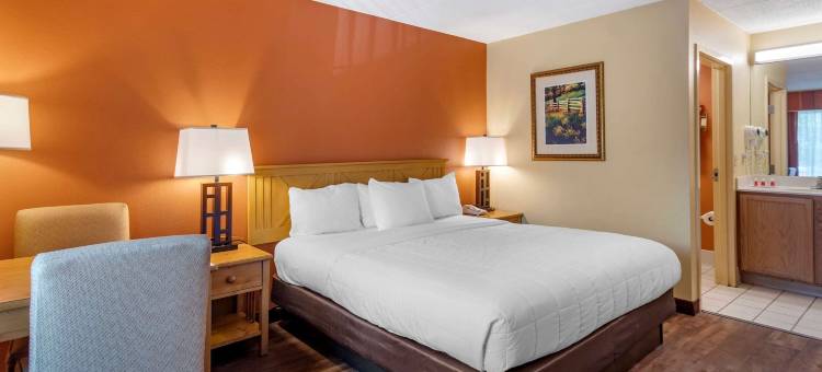 鸽子谷河畔伊克诺旅馆套房(Econo Lodge Pigeon Forge Riverside)图片