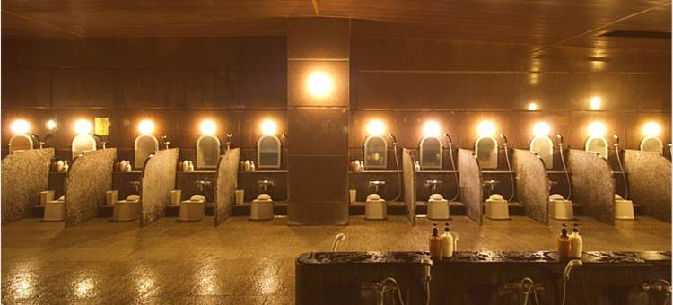 福井 学园酒店(Fukui Academia Hotel)图片