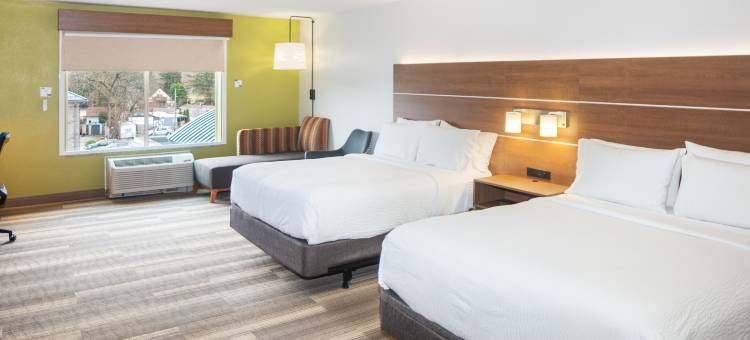 洲际酒店集团智选假日酒店及套房 斯特劳兹堡-波科诺斯(Holiday Inn Express & Suites STROUDSBURG-POCONOS by IHG)图片