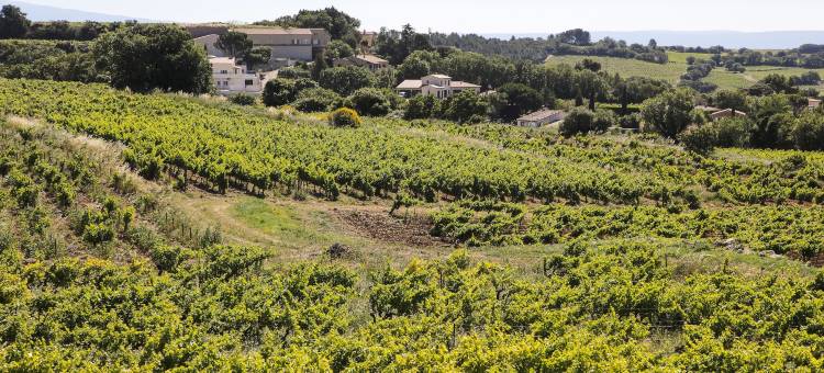 索米勒尔酒店(Logis Hôtel la Sommellerie)图片