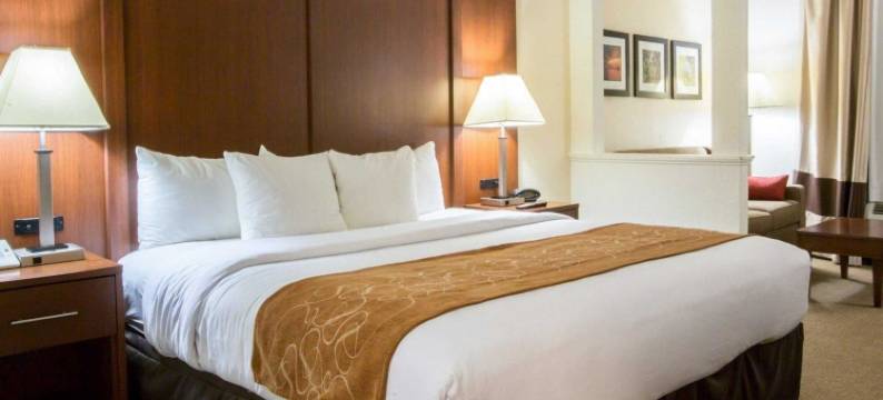 卡明舒适套房酒店 - 亚特兰大近福赛思北区医院(Comfort Suites Cumming-Atlanta Near Northside Hospital Forsyth)图片