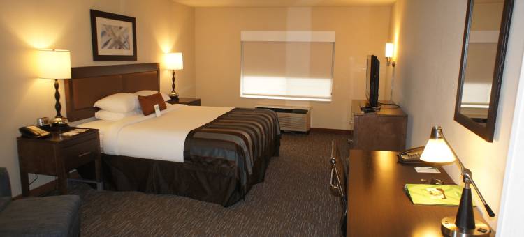 Wingate by Wyndham Chattanooga图片