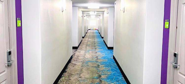 法尔北麦卡伦拉昆塔温德姆套房酒店(La Quinta Inn & Suites by Wyndham Pharr North McAllen)图片