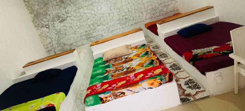 埃勒森林浴(Ella Forest Bath)图片